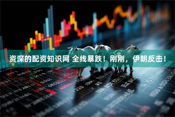 资深的配资知识网 全线暴跌！刚刚，伊朗反击！