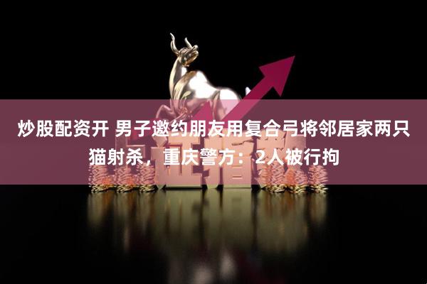 炒股配资开 男子邀约朋友用复合弓将邻居家两只猫射杀，重庆警方：2人被行拘