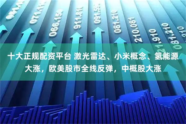 十大正规配资平台 激光雷达、小米概念、氢能源大涨，欧美股市全线反弹，中概股大涨