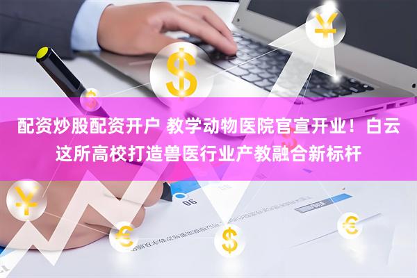配资炒股配资开户 教学动物医院官宣开业！白云这所高校打造兽医行业产教融合新标杆